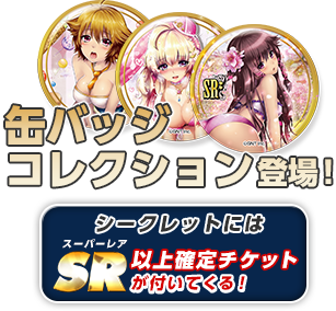 美女ポリス缶バッジコレクション