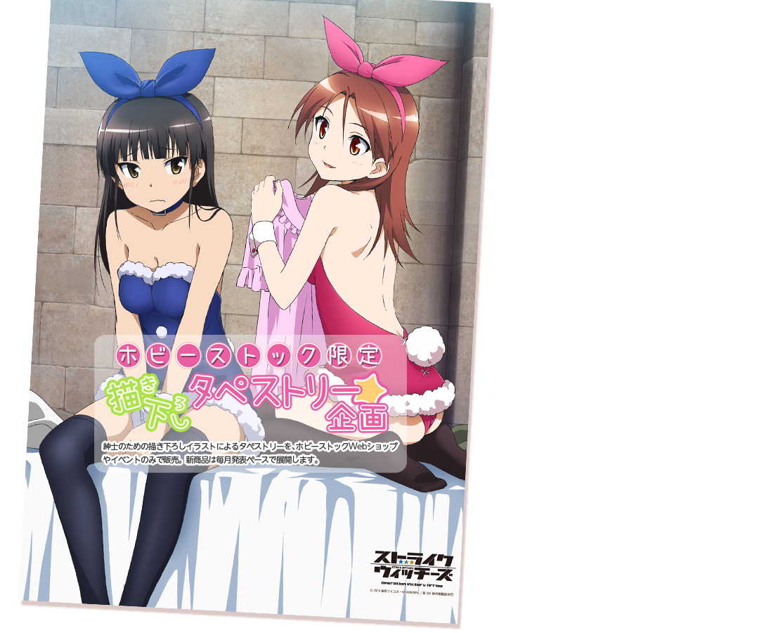 ストライクウィッチーズ　54 [転載禁止]©bbspink.com	->画像>528枚 