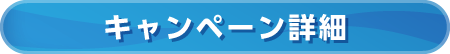 キャンペーン詳細